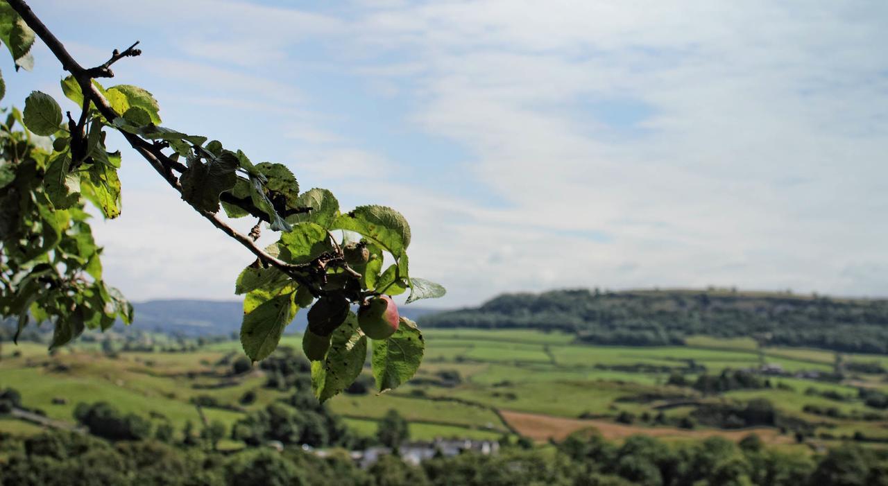 Hotel Mason'S Arms Bowland Bridge Esterno foto