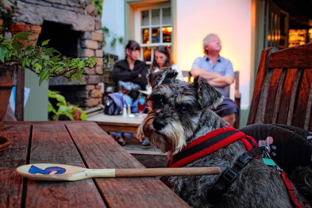 Hotel Mason'S Arms Bowland Bridge Esterno foto